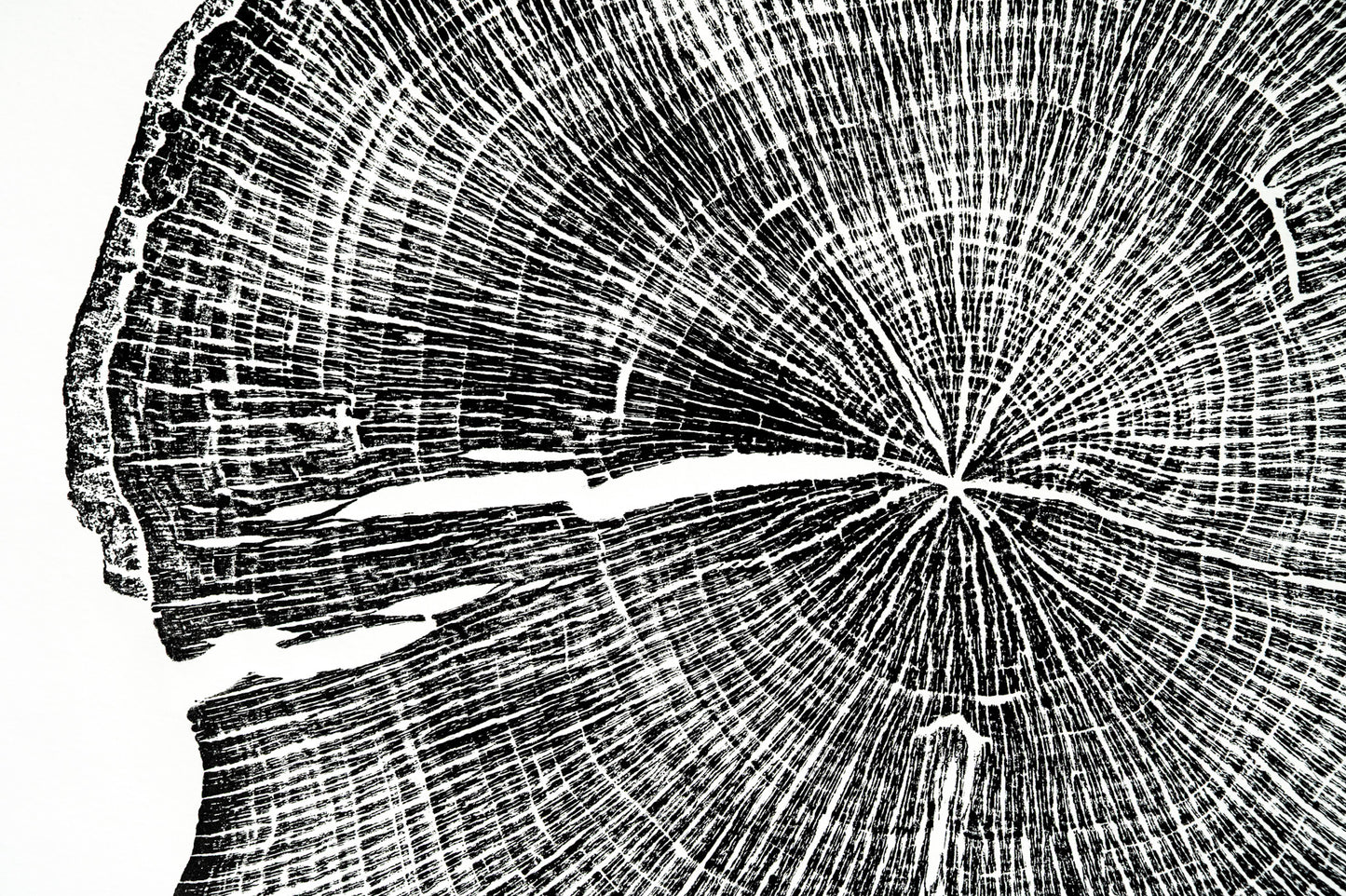 Saw Mill - Warren Wilson College, Swannanoa, NC