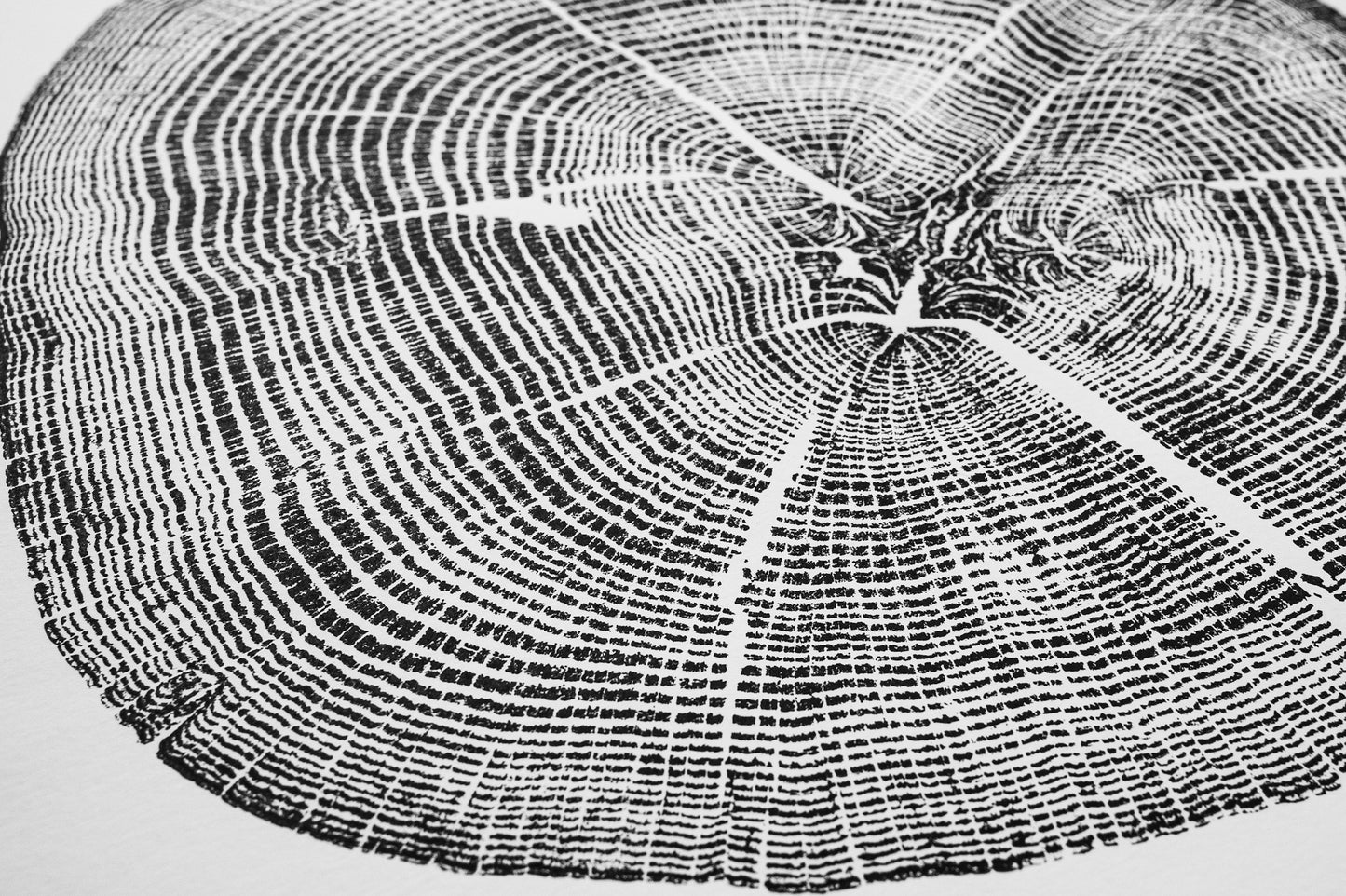 White Oak - Spartanburg, SC