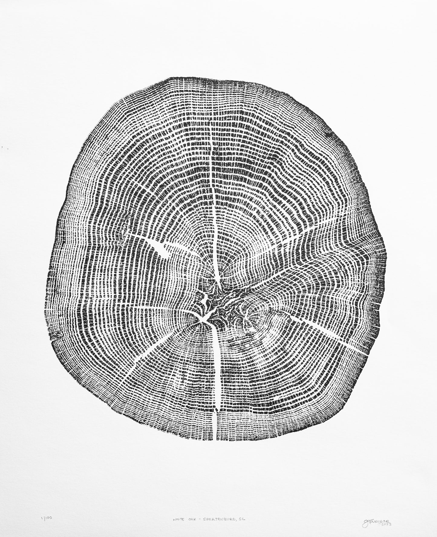 White Oak - Spartanburg, SC