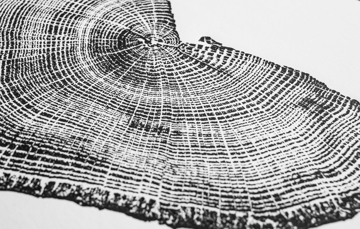 Seccional de medio tocón