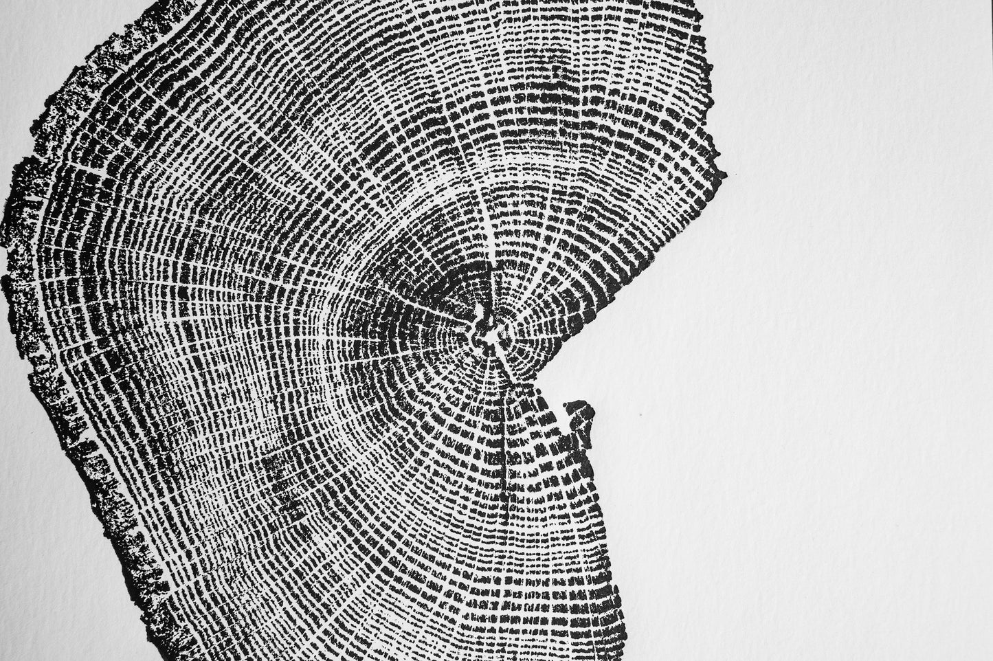 Seccional de medio tocón