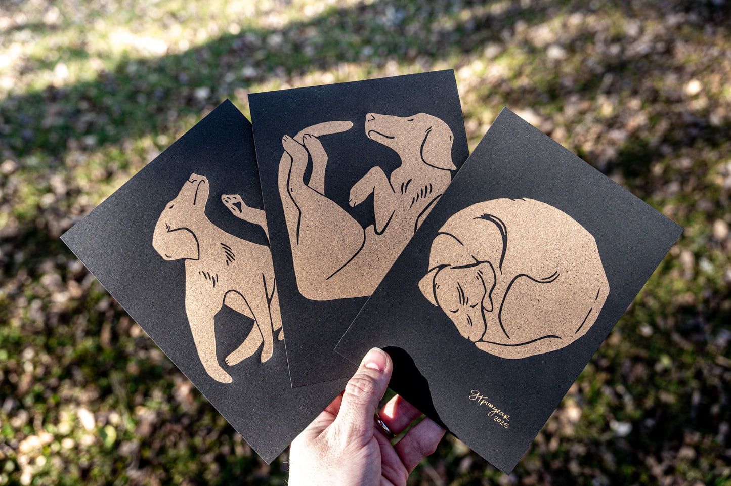 Square Yoga Dog | Gold on Black Edition
