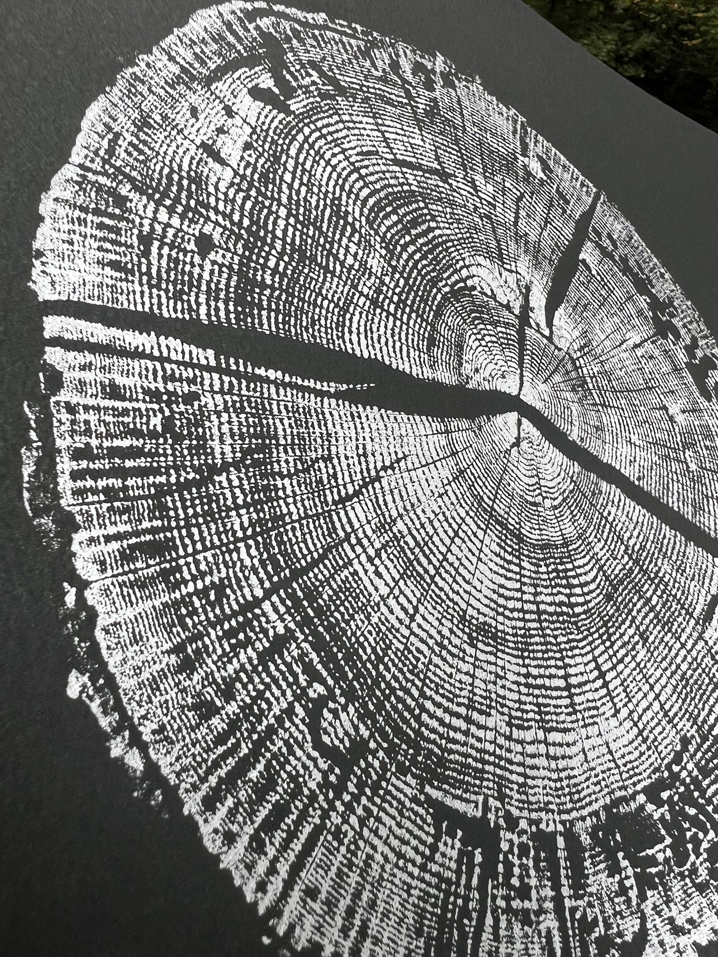 Helene White Oak - Spartanburg, SC