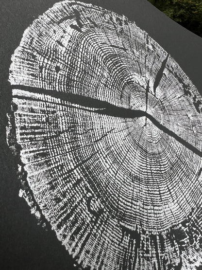 Helene White Oak - Spartanburg, SC