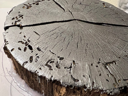 Helene White Oak - Spartanburg, SC