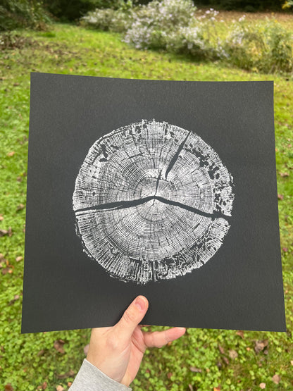 Helene White Oak - Spartanburg, SC