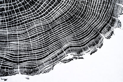 Osage Orange - Mechanicsville, VA | Black & White Edition