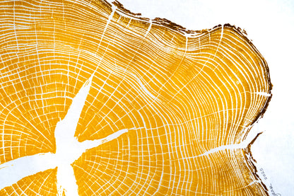 Osage Orange - Mechanicsville, VA | Yellow Two Tone Edition
