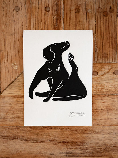 Yoga Dog Print Series