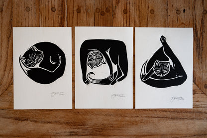 Yoga Cat Print Series