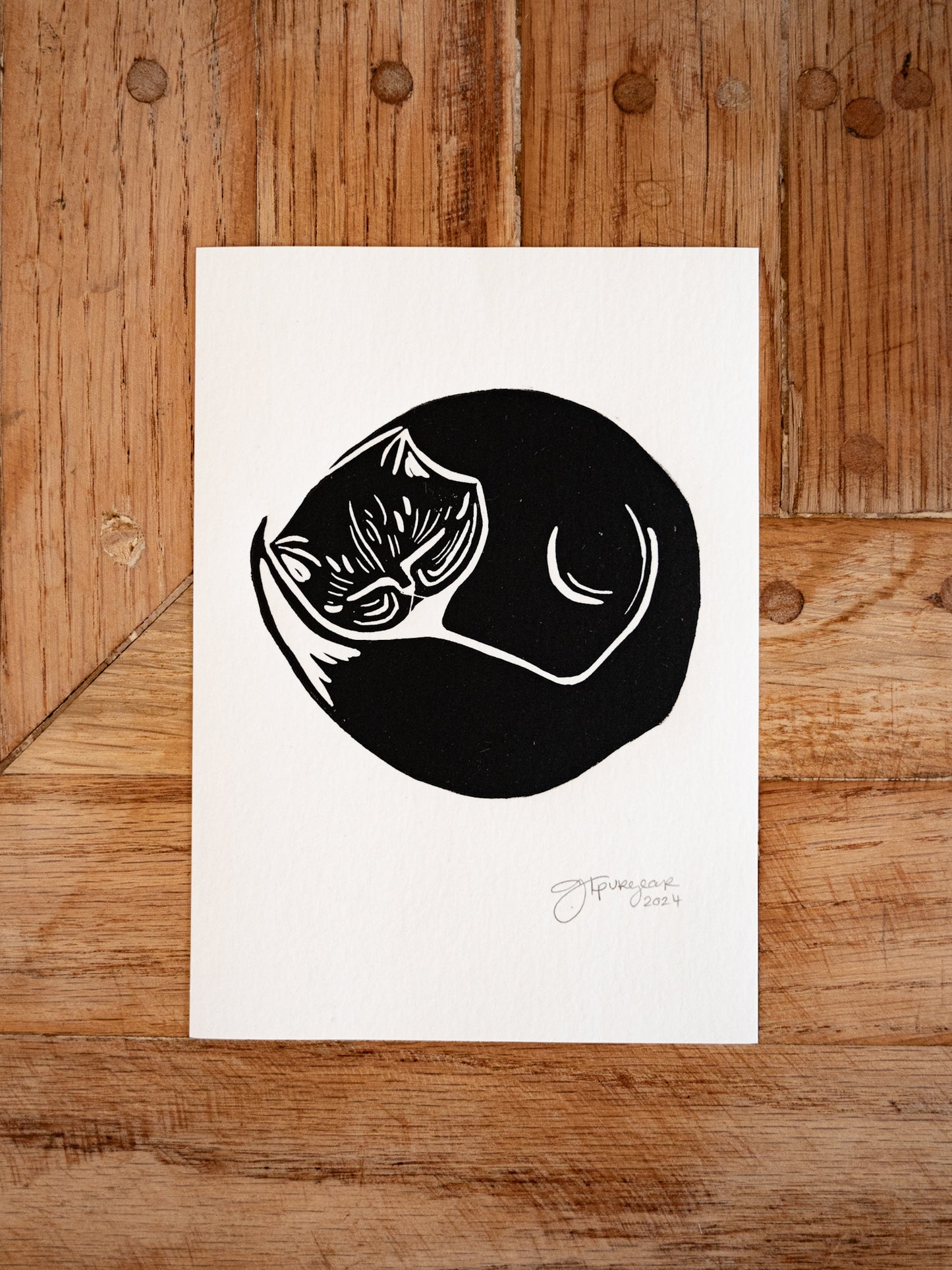 Yoga Cat Print Series